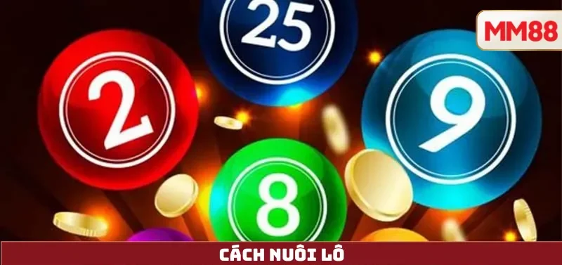 Cách Nuôi Lô